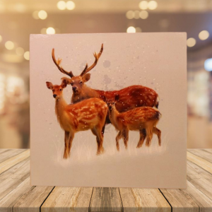 Reindeer Family